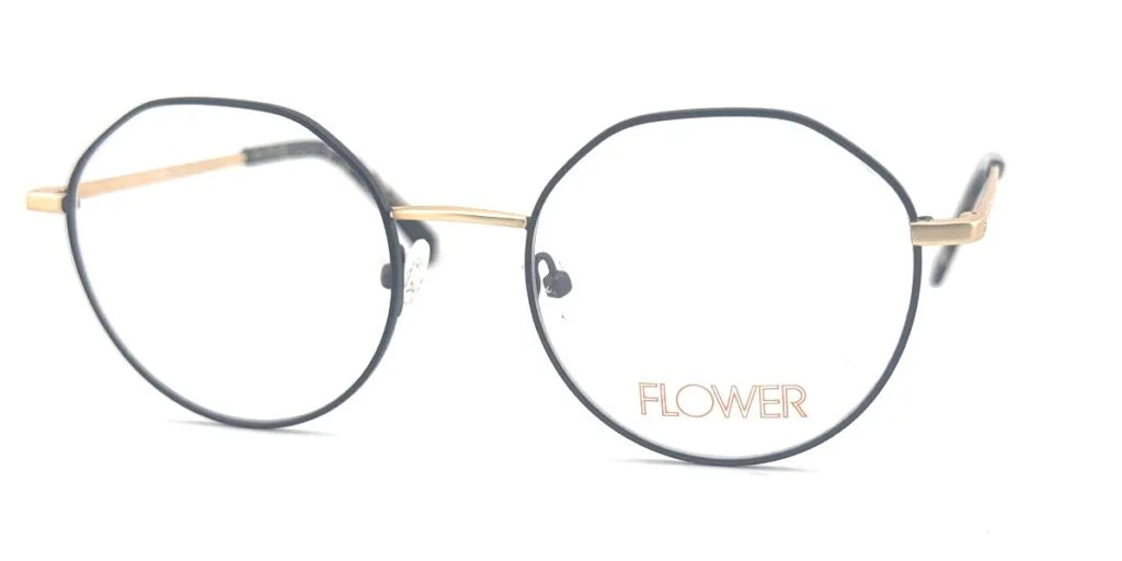 FLR6043