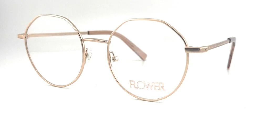 FLR6043